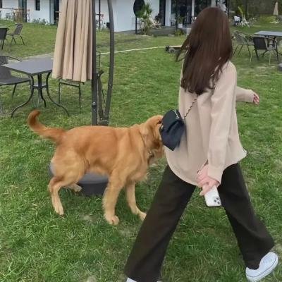 爱·之痕